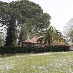 Del Rubbio Roma